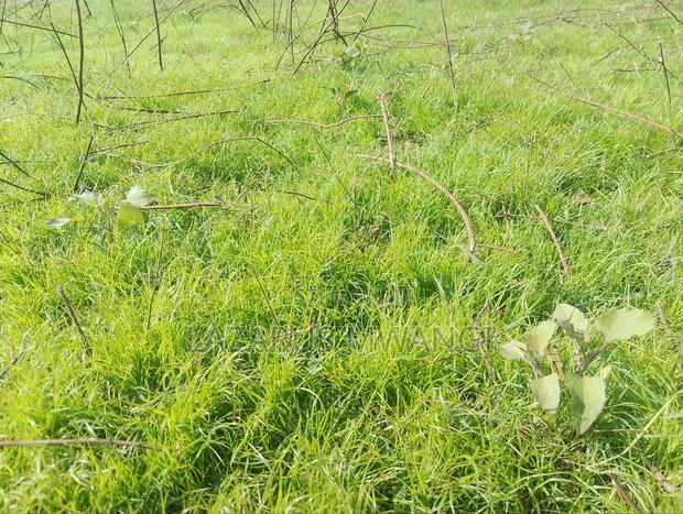 10 Acres of Land Good for Hotel Near Makutano Mwea