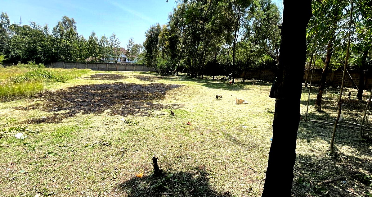 Half Acre Karen Plot at KSh 35M