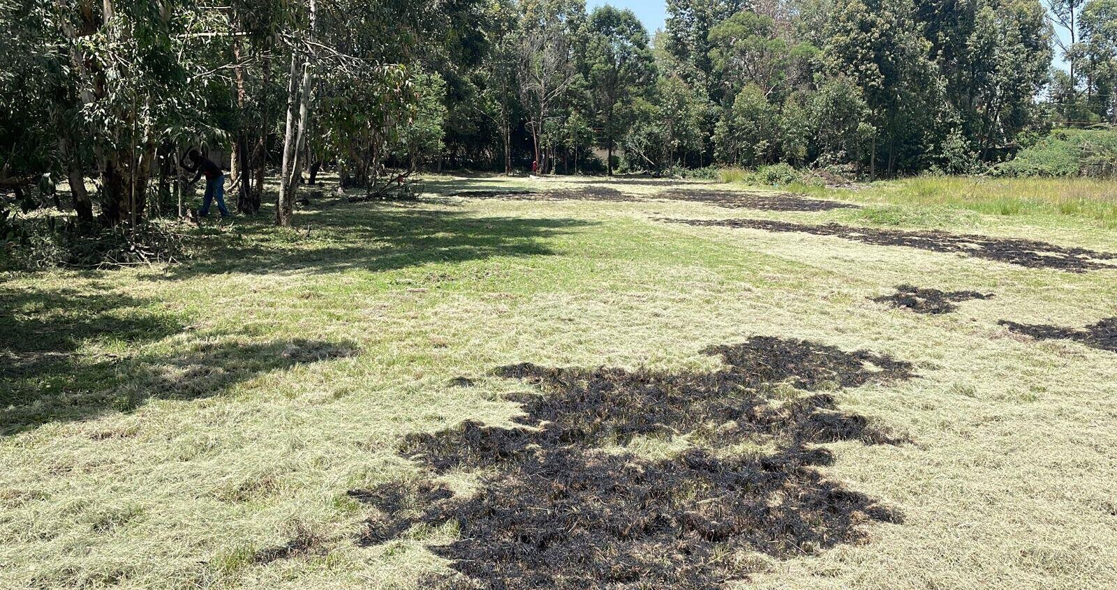 Half Acre Karen Plot at KSh 35M