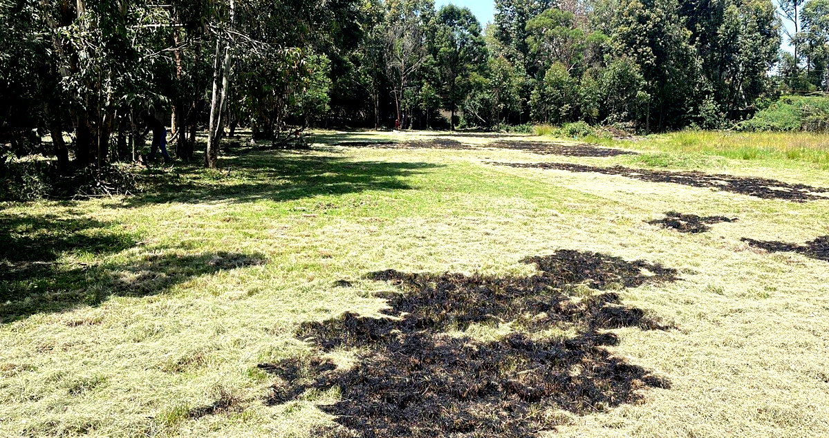 Half Acre Karen Plot at KSh 35M