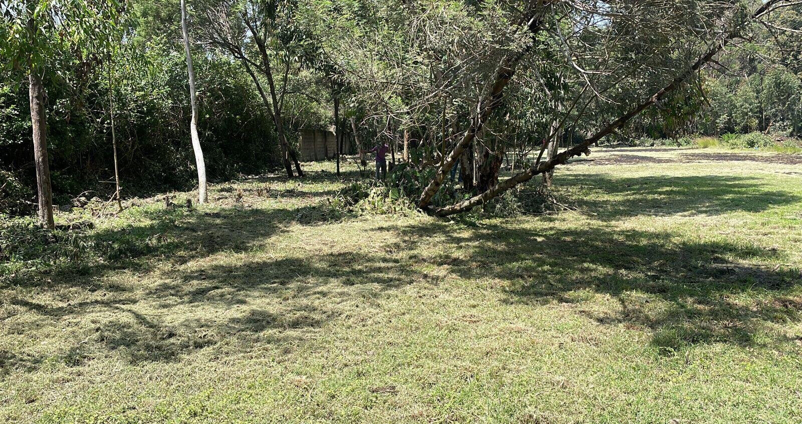 Half Acre Karen Plot at KSh 35M