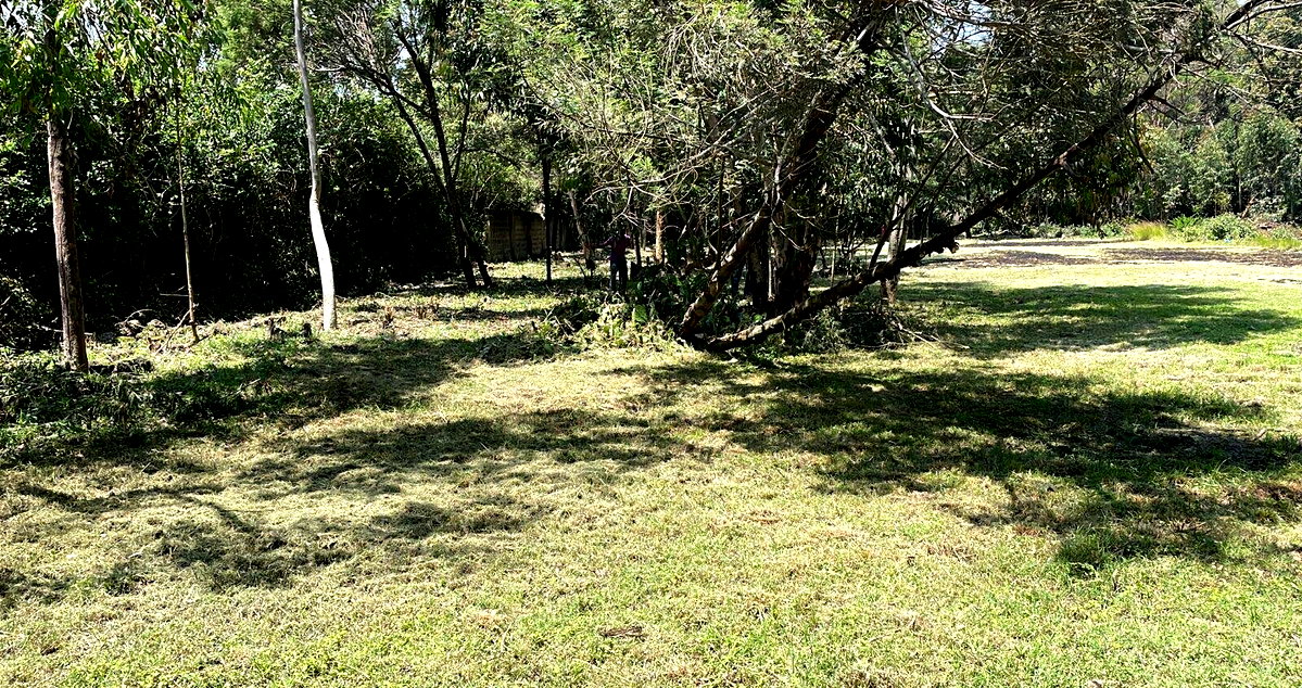 Half Acre Karen Plot at KSh 35M