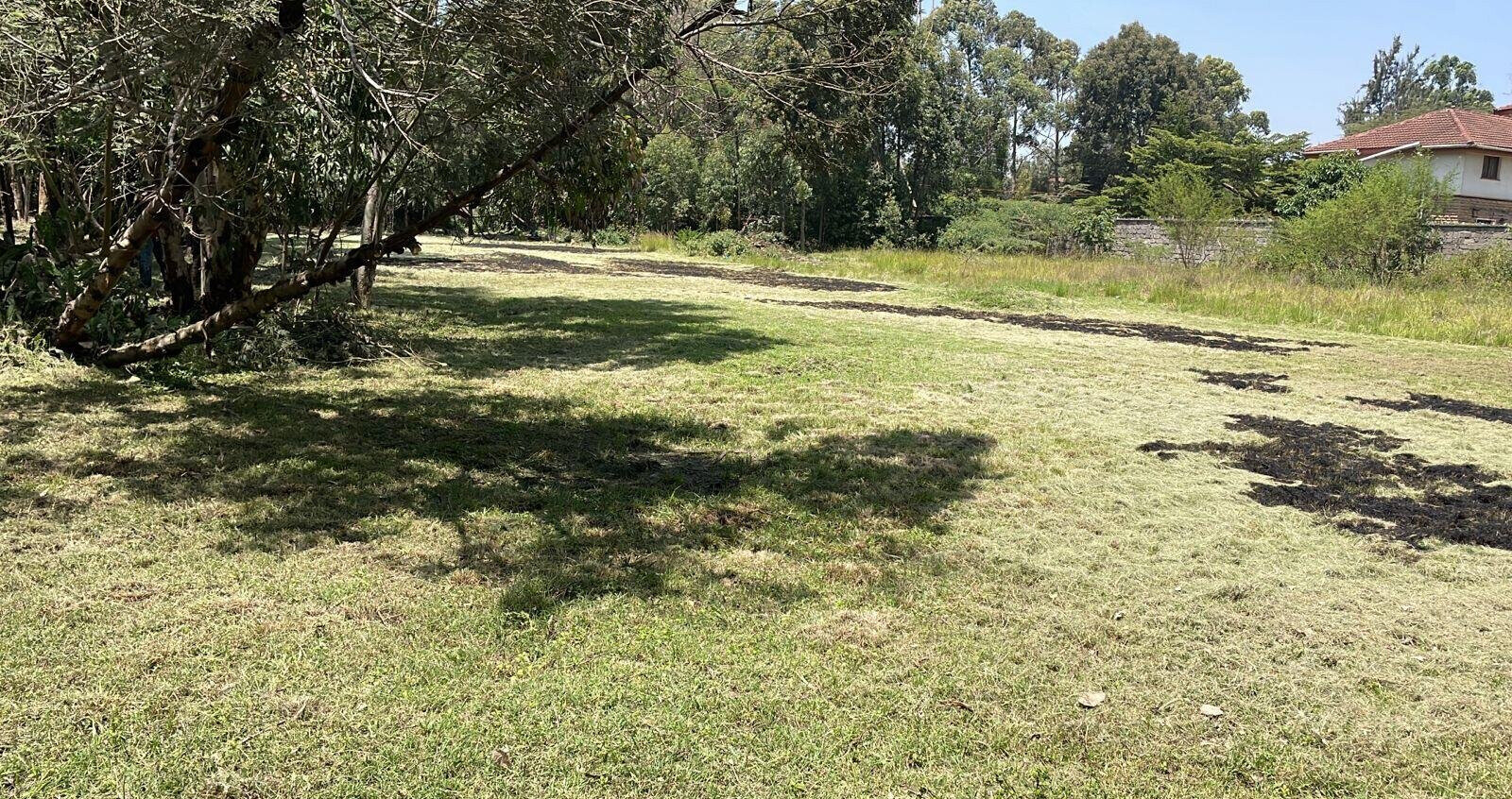 Half Acre Karen Plot at KSh 35M