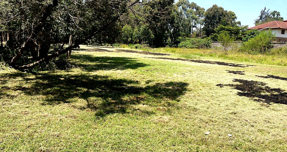 Half Acre Karen Plot at KSh 35M