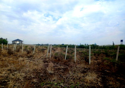 2-Acre Kitengela Plot for KSh 18.5M