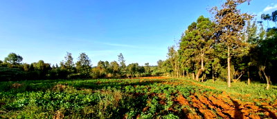5-Acre Kahurura Gem at KSh 12.5M