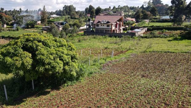 1/8 of an Acre Pieces Ondiri Kikuyu at 4m