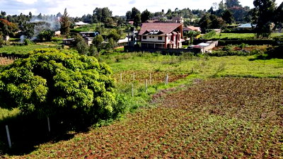 1/8 of an Acre Pieces Ondiri Kikuyu at 4m - Image 6
