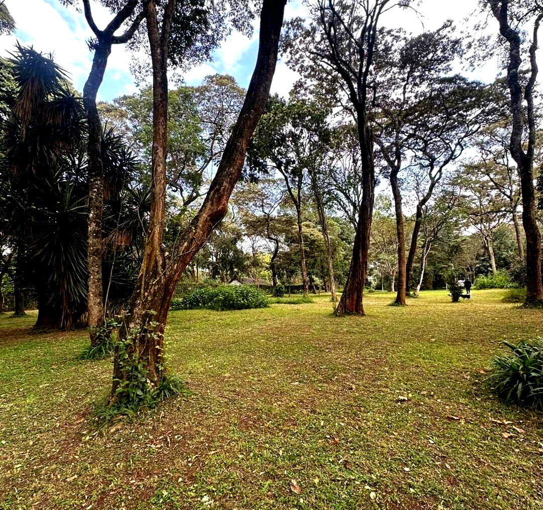 57-Acre Garden Land in Kileleshwa