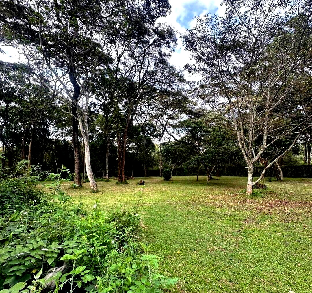 57-Acre Garden Land in Kileleshwa