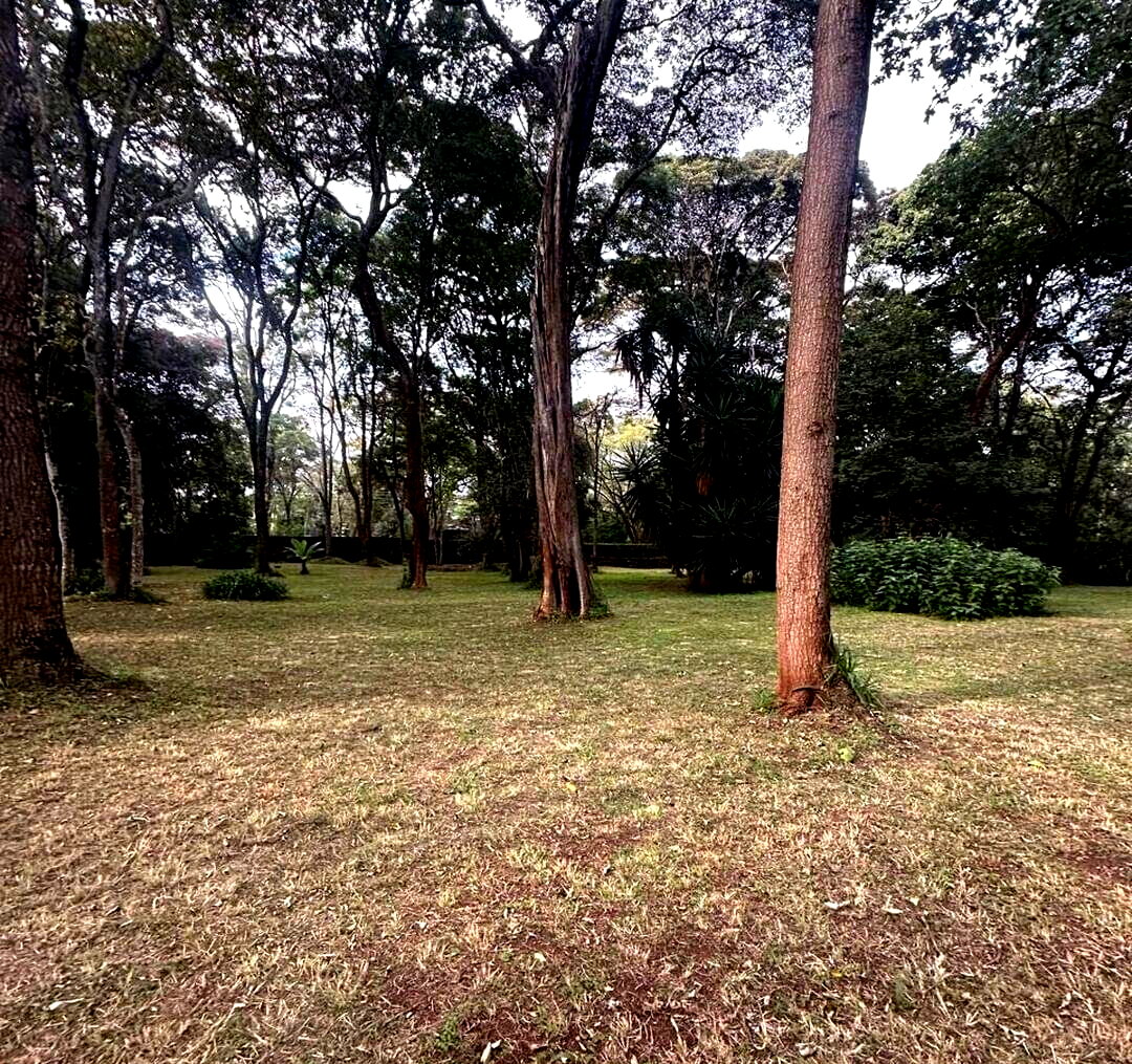 57-Acre Garden Land in Kileleshwa