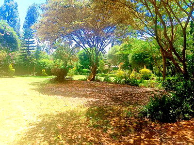 Prime Residential Plot for Sale in Kikuyu, Thogoto - Image 6