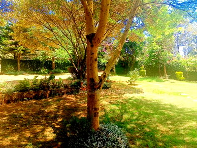 Prime Residential Plot for Sale in Kikuyu, Thogoto - Image 4