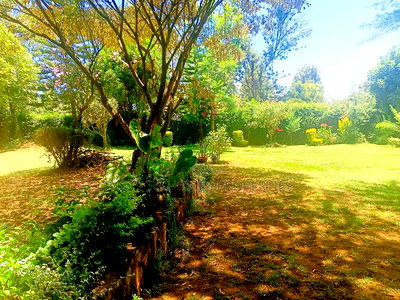 Prime Residential Plot for Sale in Kikuyu, Thogoto - Image 5