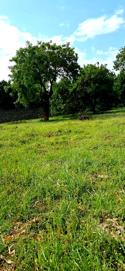 For Sale 2 Acres Prime Land Kikambala - Image 4