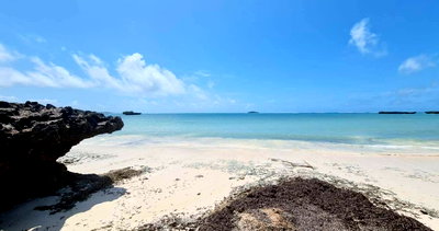 7-Acre Beachfront with Garden & Parking