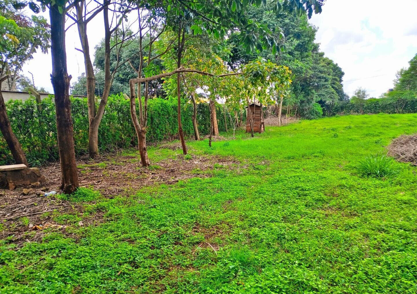 Two Adjacent Plots in Old Kitisuru Behind ISK - KES 55M & 50M
