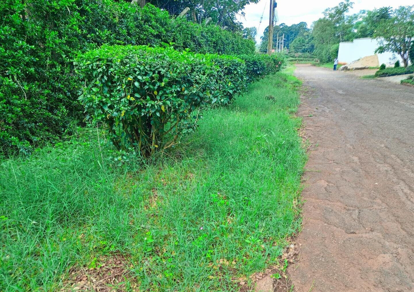 Two Adjacent Plots in Old Kitisuru Behind ISK - KES 55M & 50M