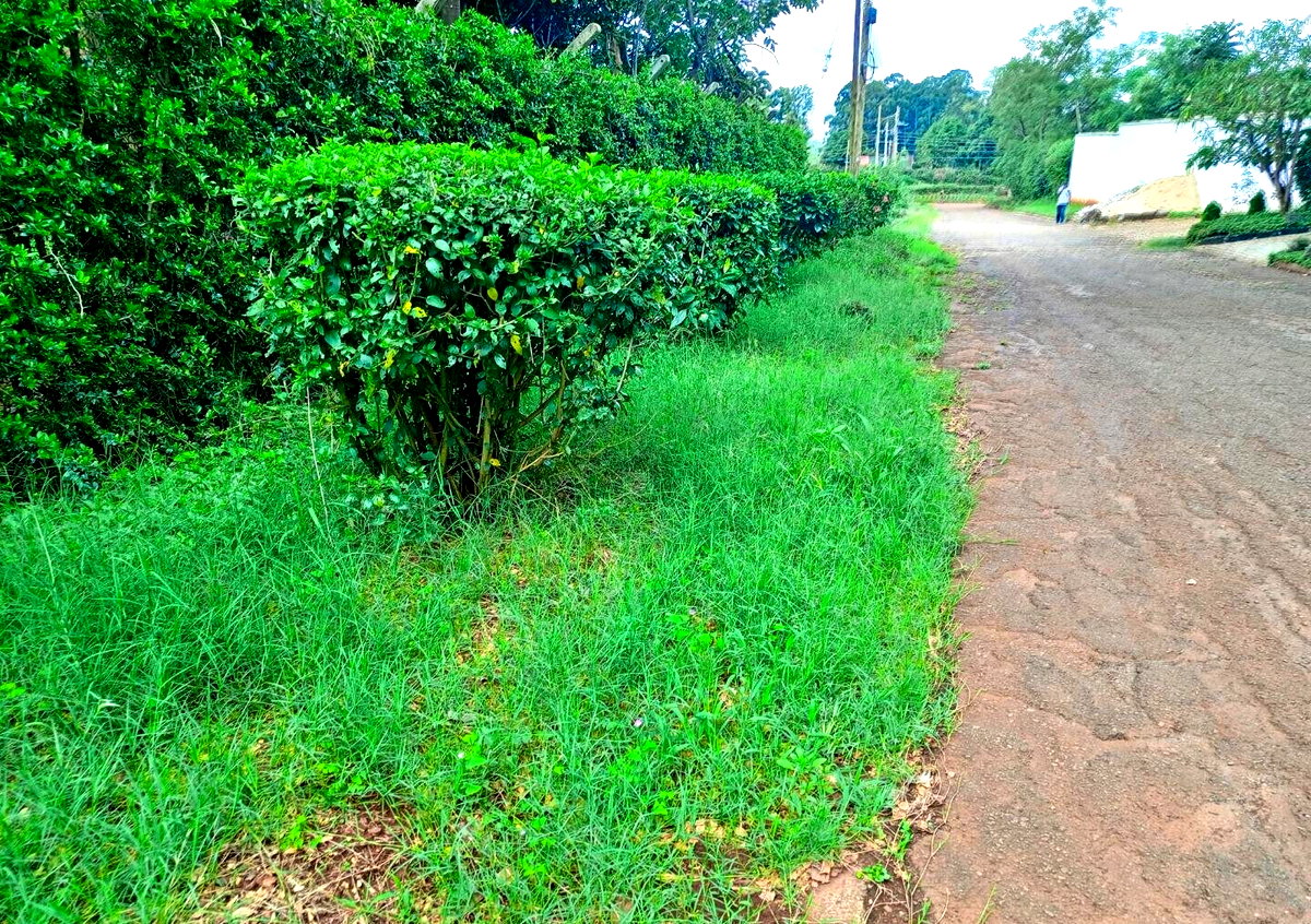 Two Adjacent Plots in Old Kitisuru Behind ISK - KES 55M & 50M
