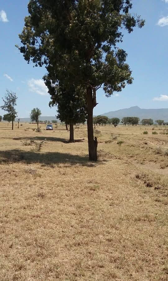 5-Acre Land with Subdivided Plots - Mai Mahiu
