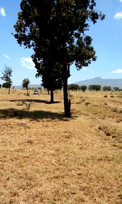 5-Acre Land with Subdivided Plots - Mai Mahiu