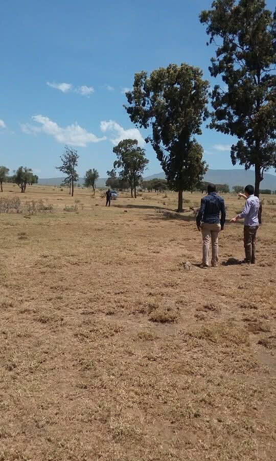 5-Acre Land with Subdivided Plots - Mai Mahiu