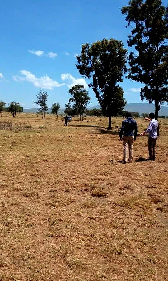 5-Acre Land with Subdivided Plots - Mai Mahiu
