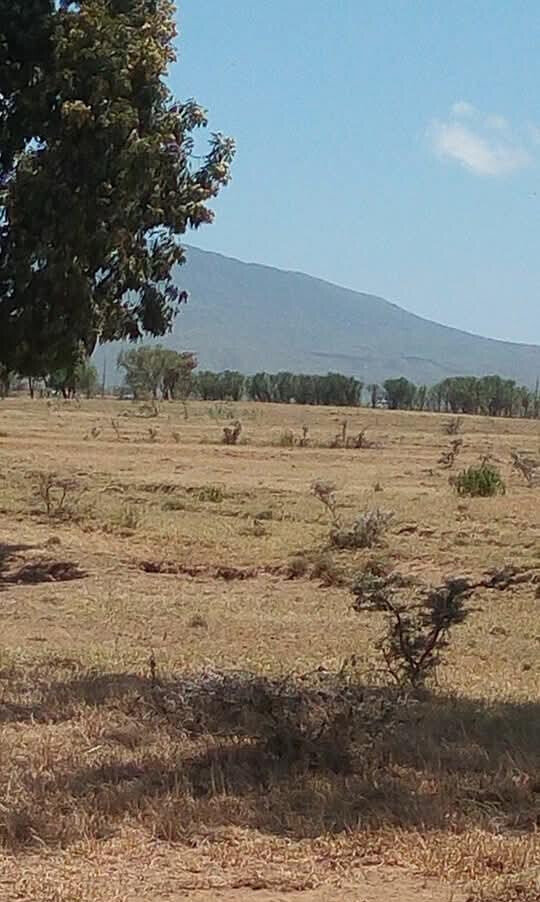 5-Acre Land with Subdivided Plots - Mai Mahiu
