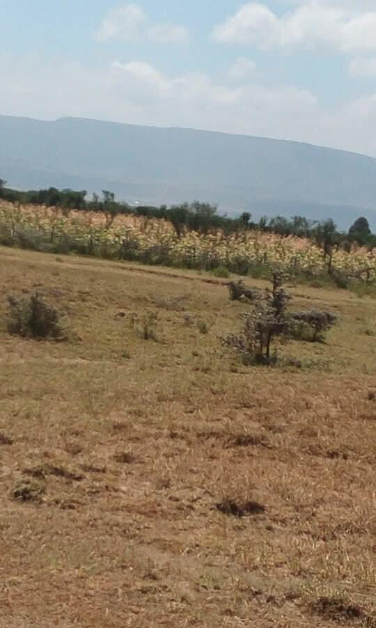 5-Acre Land with Subdivided Plots - Mai Mahiu