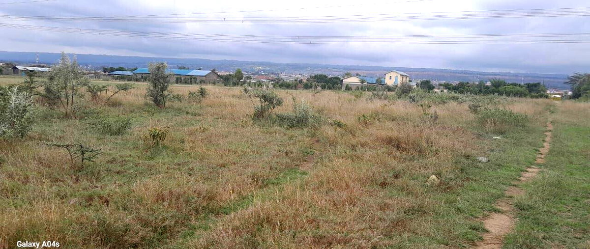 20-Acre Prime Land in Naivasha