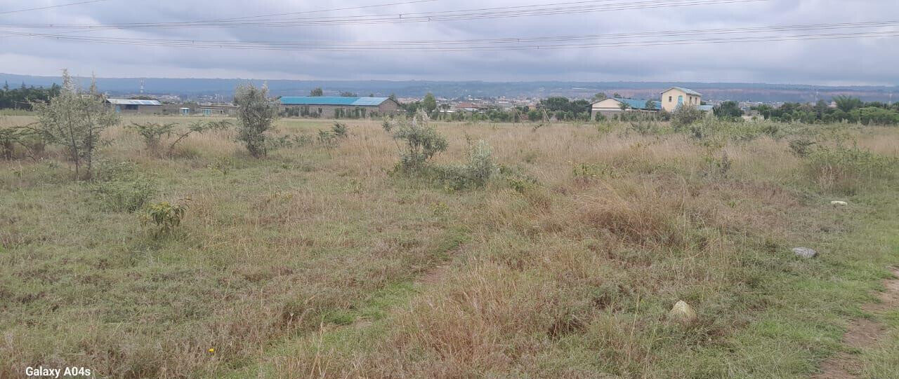 20-Acre Prime Land in Naivasha