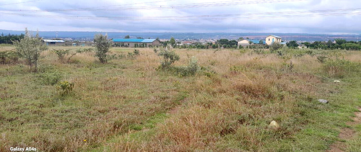 20-Acre Prime Land in Naivasha