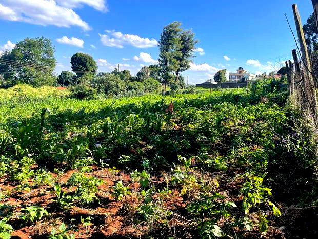 Prime Commercial Plot in Kikuyu, Sigona Along Waiyaki Way.