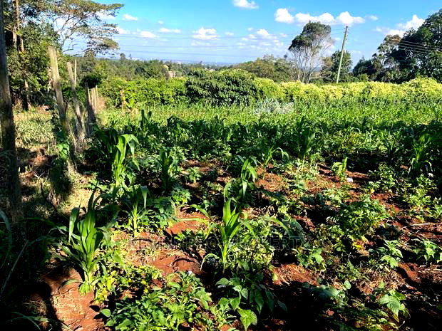 Prime Commercial Plot in Kikuyu, Sigona Along Waiyaki Way.