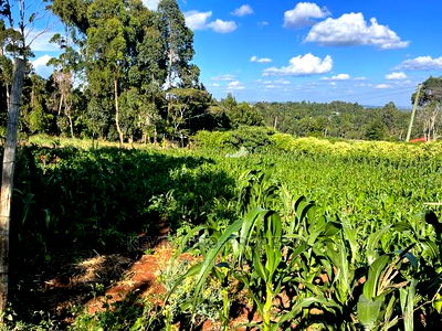 Prime Commercial Plot in Kikuyu, Sigona Along Waiyaki Way. - Image 7