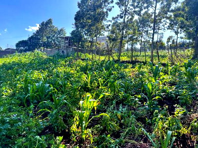 Prime Commercial Plot in Kikuyu, Sigona Along Waiyaki Way. - Image 8