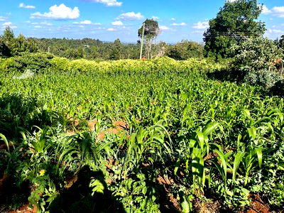 Prime Commercial Plot in Kikuyu, Sigona Along Waiyaki Way. - Image 6