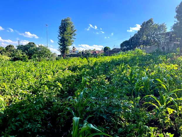 Prime Commercial Plot in Kikuyu, Sigona Along Waiyaki Way.