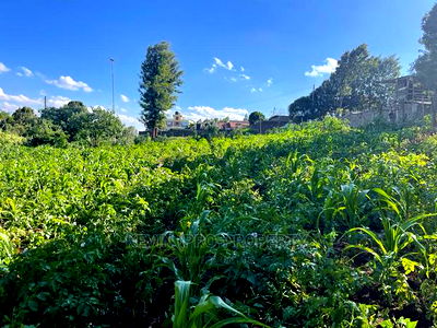 Prime Commercial Plot in Kikuyu, Sigona Along Waiyaki Way. - Image 2