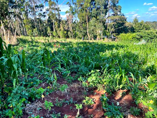 Prime Commercial Plot in Kikuyu, Sigona Along Waiyaki Way.