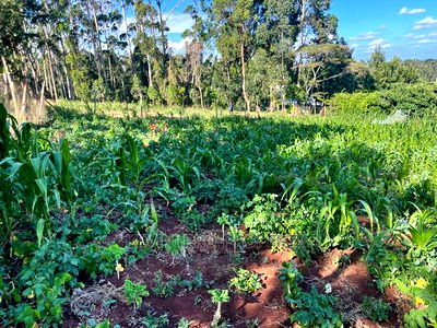 Prime Commercial Plot in Kikuyu, Sigona Along Waiyaki Way. - Image 5