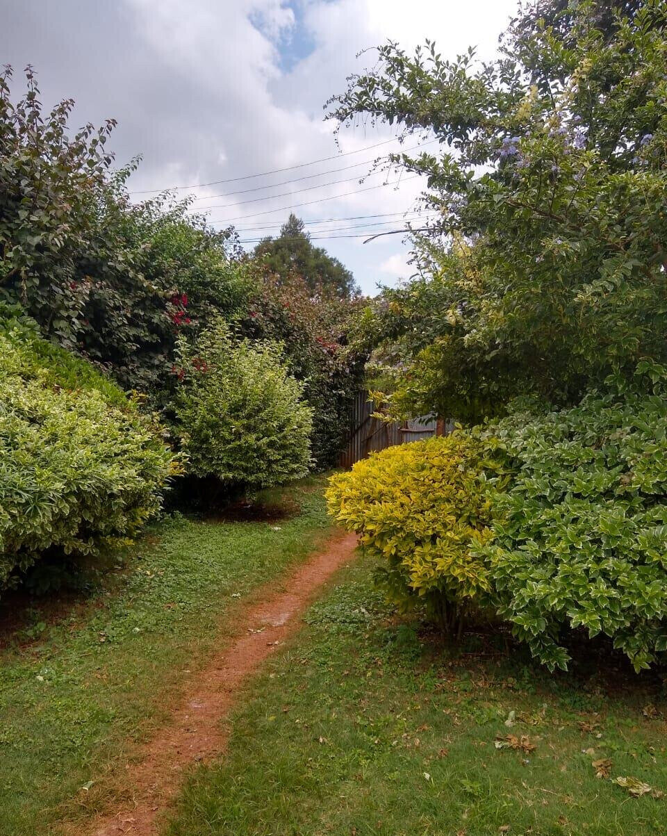11-Acre Commercial Land in Ridgeways