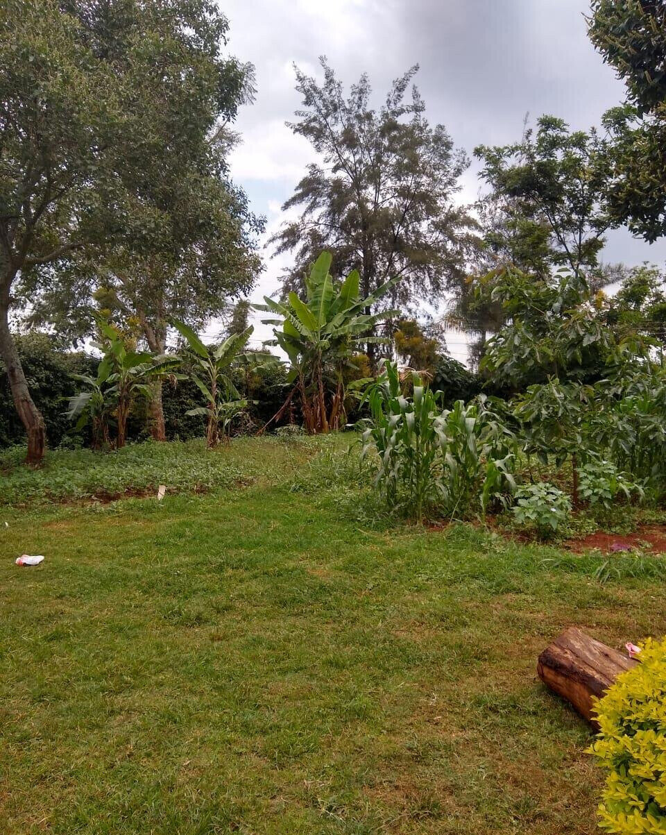 11-Acre Commercial Land in Ridgeways