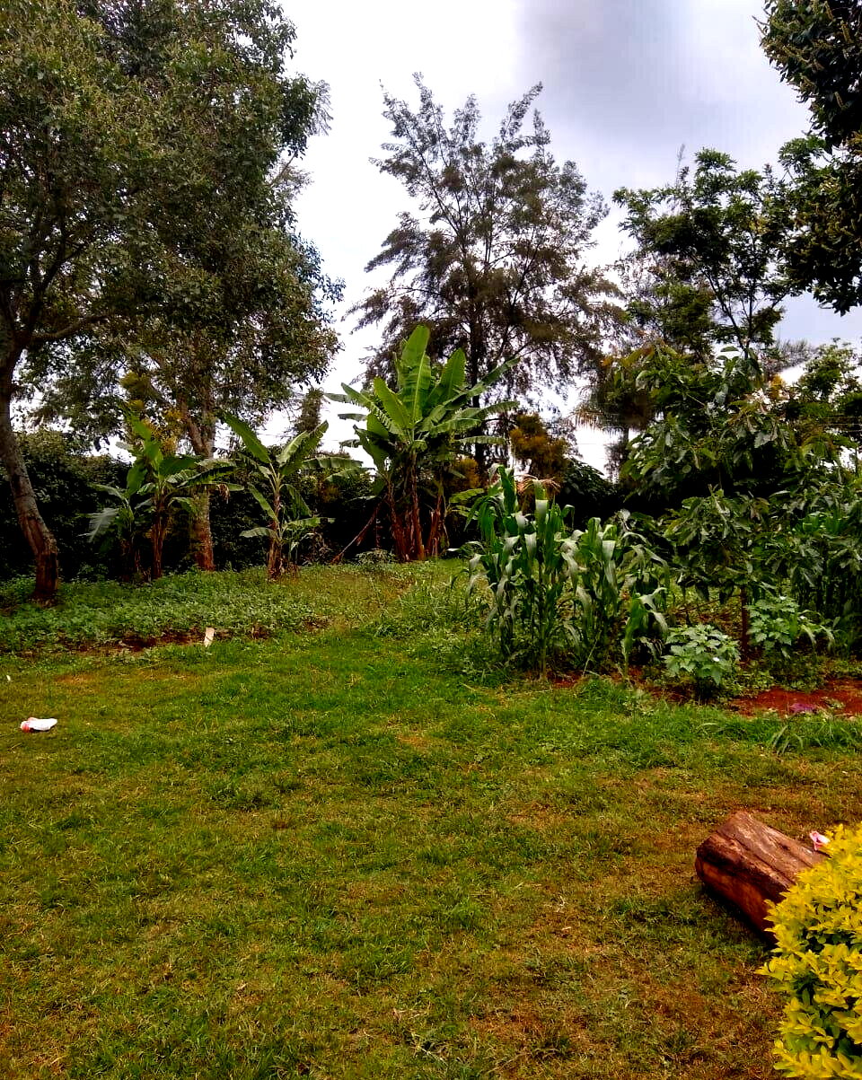 11-Acre Commercial Land in Ridgeways