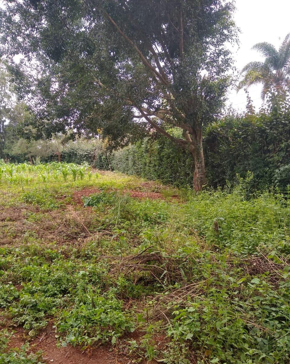 11-Acre Commercial Land in Ridgeways