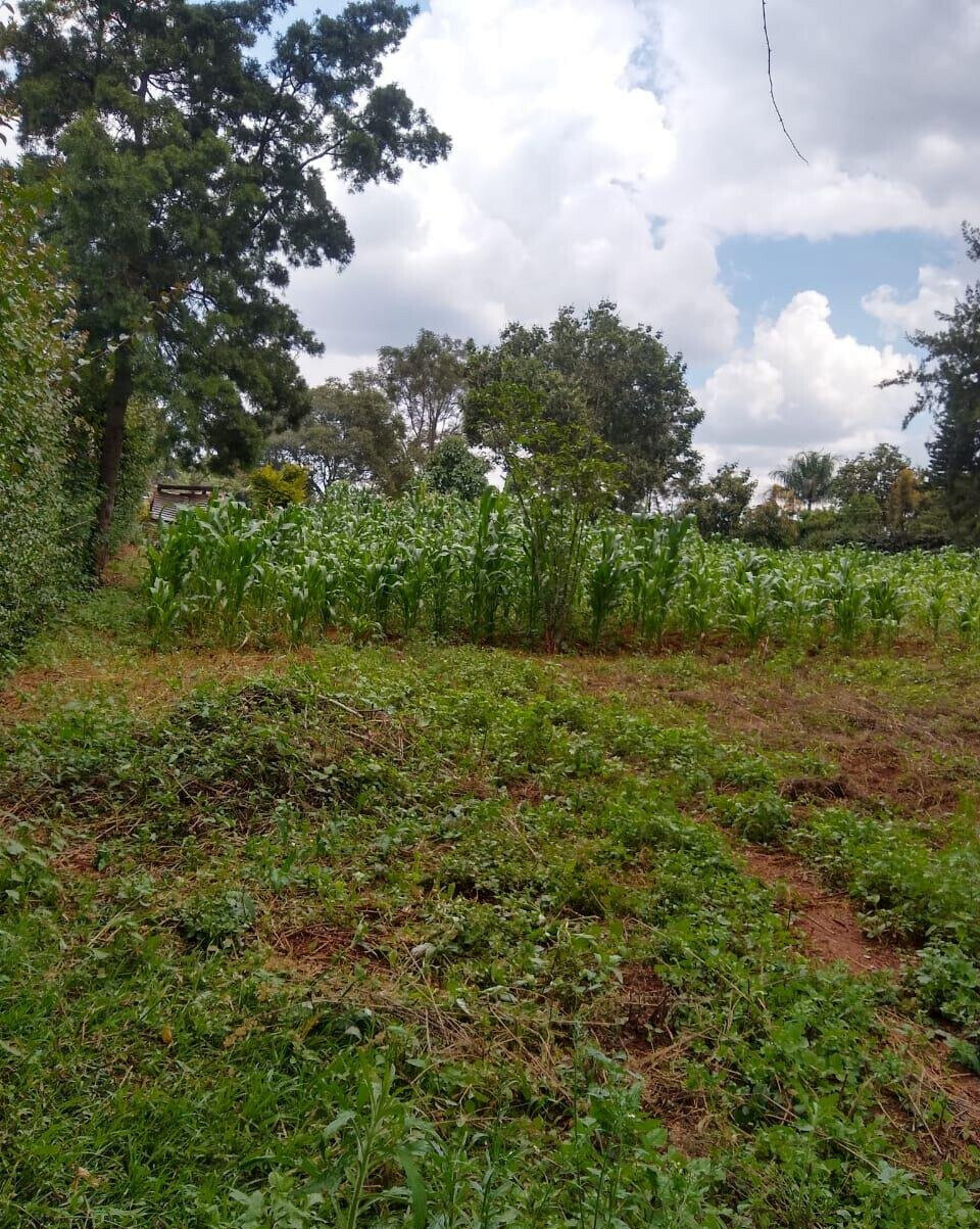 11-Acre Commercial Land in Ridgeways