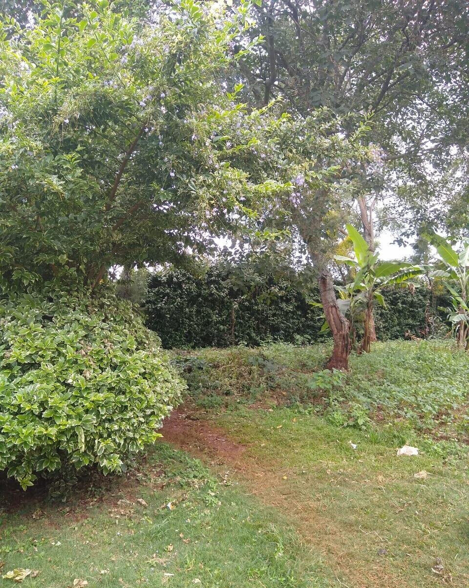 11-Acre Commercial Land in Ridgeways