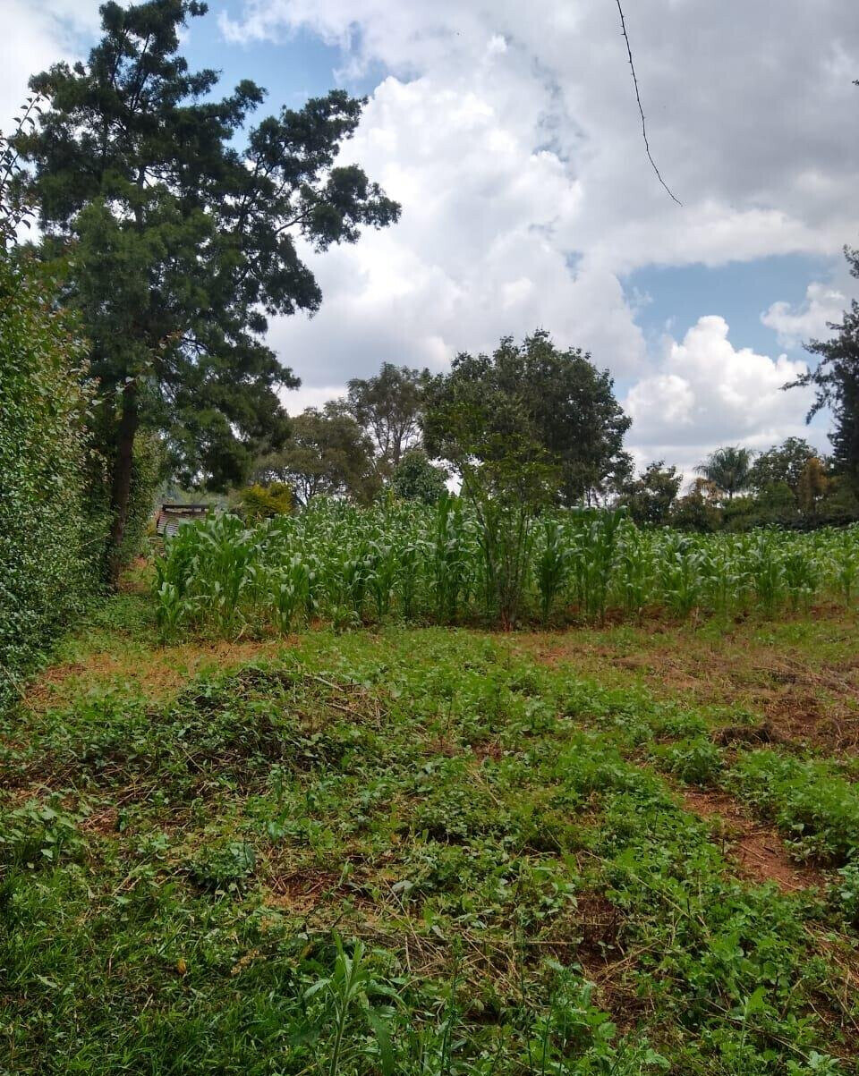 11-Acre Commercial Land in Ridgeways