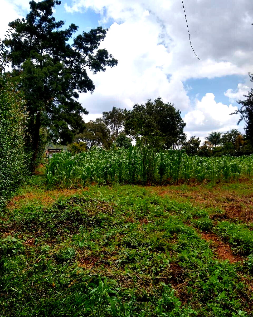 11-Acre Commercial Land in Ridgeways