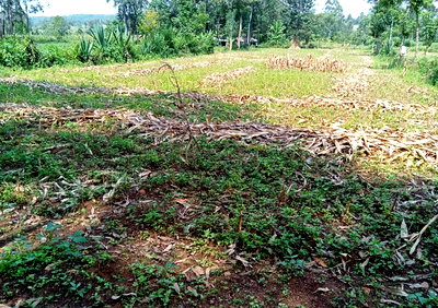 1 Acre Plot with Garden in Migori